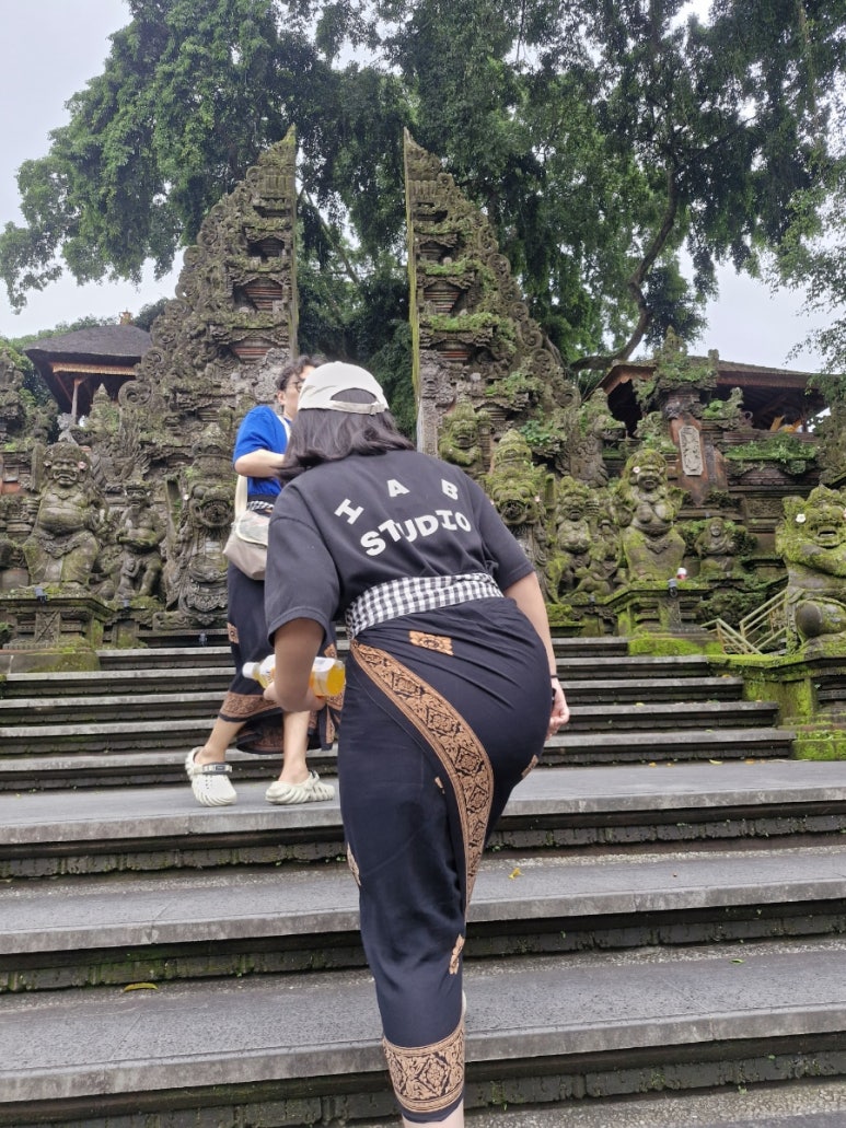 달렘 이미지