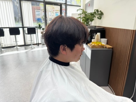 레브진헤어 이미지