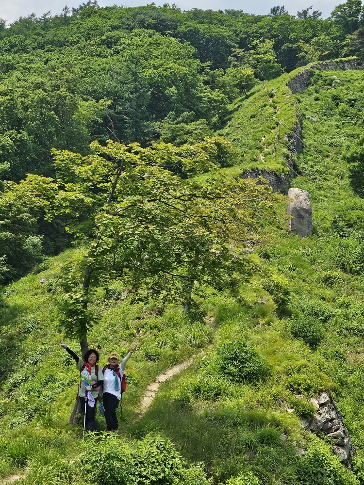 린차이나 이미지