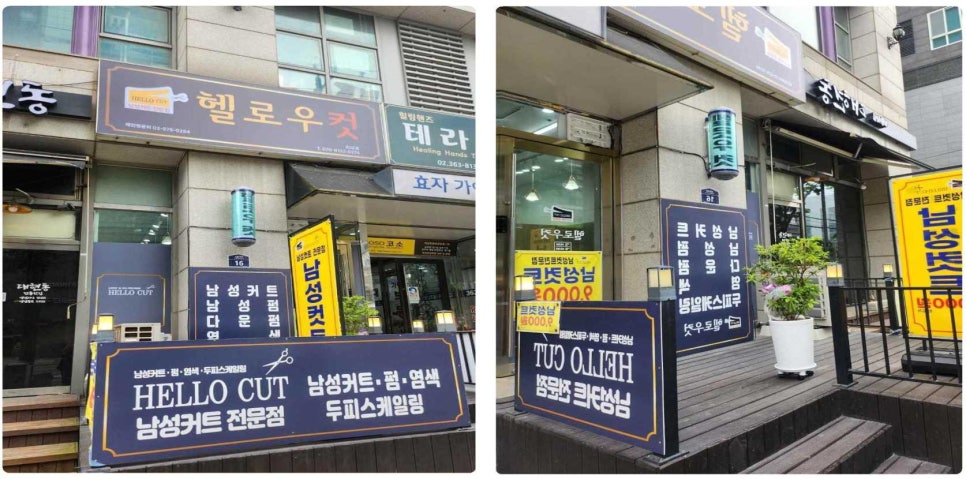 헬로우컷 이미지