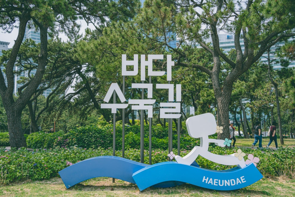 송림미트 이미지