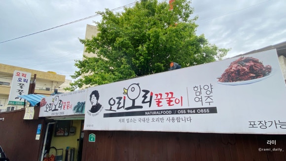오리와꿀꿀이 이미지