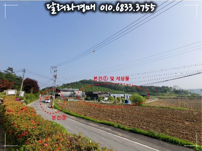 꼬끼아리(주) 이미지