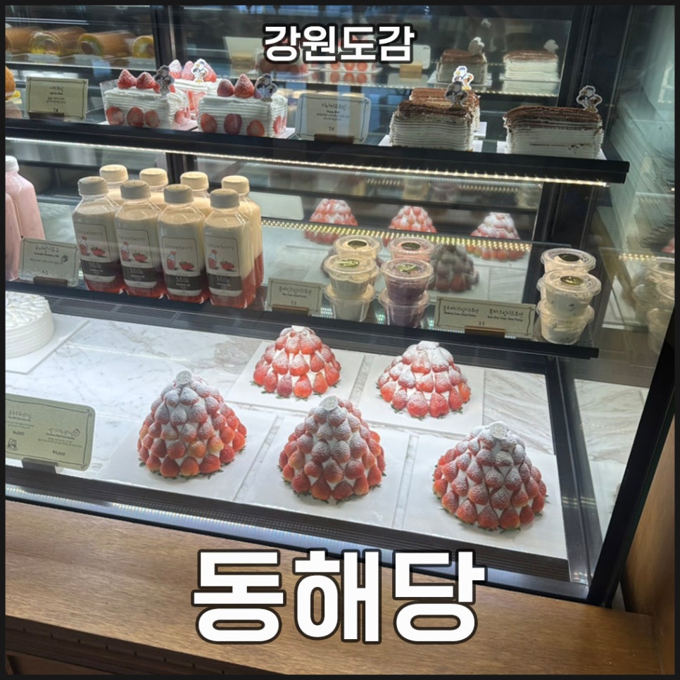동해당 이미지
