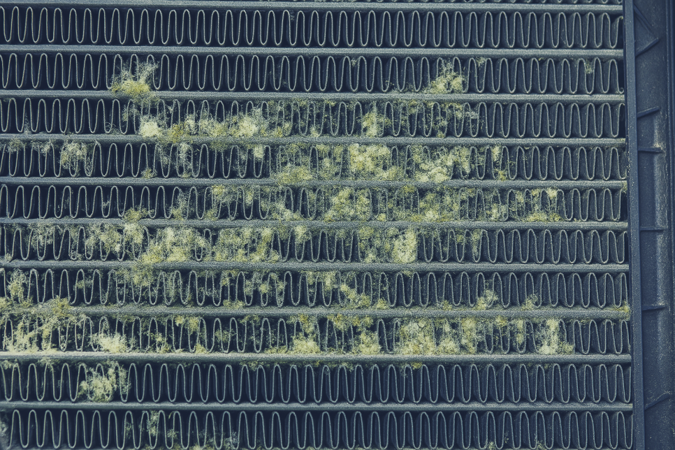 시티크리닝 이미지