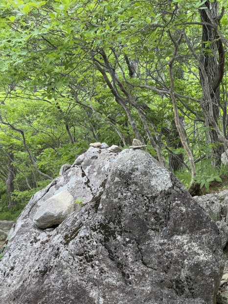소백산국립공원 삼가동코스 이미지