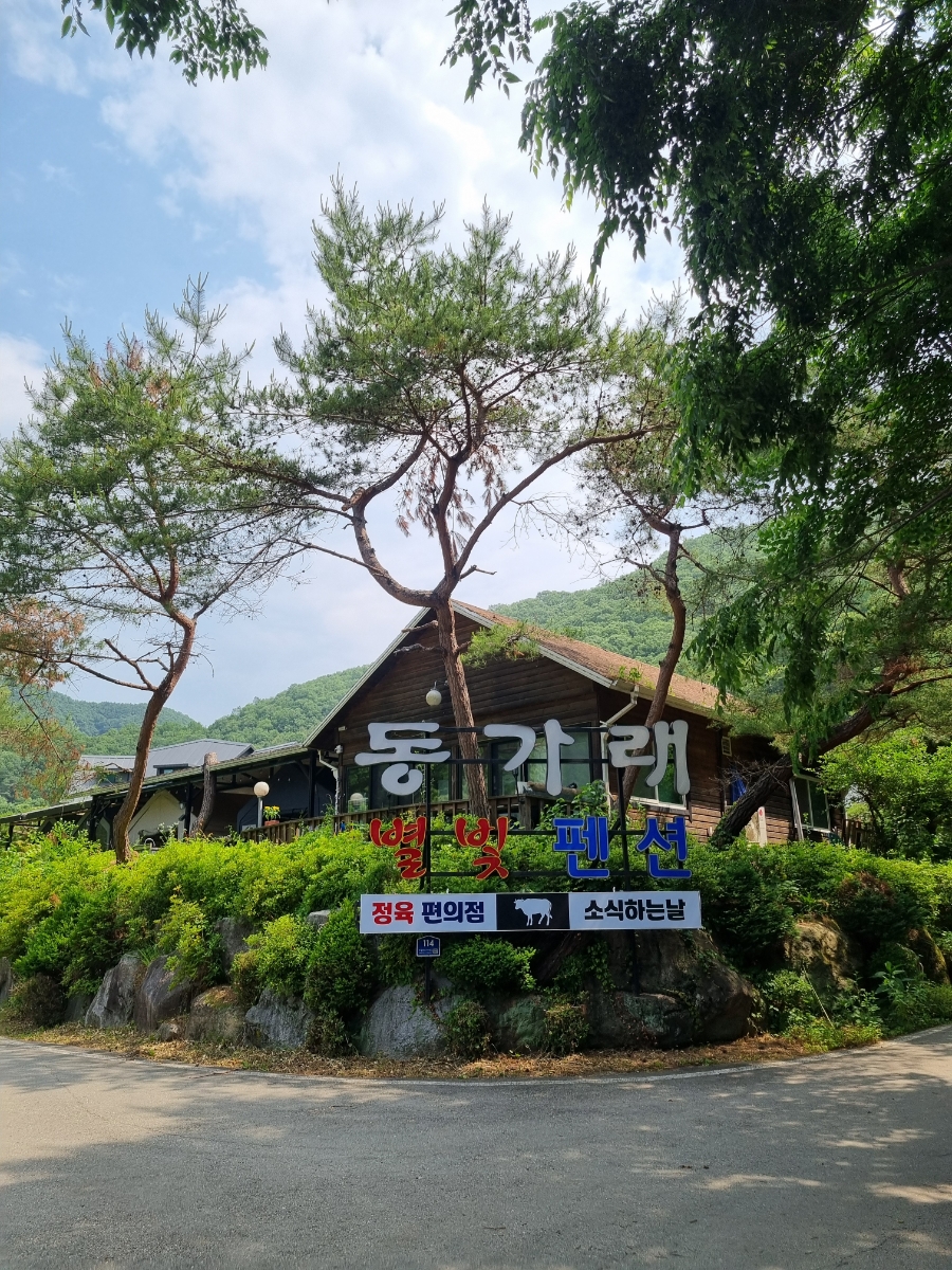 동가래 이미지