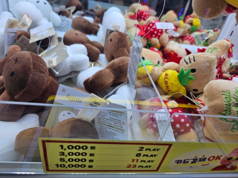 뽑짱 이미지