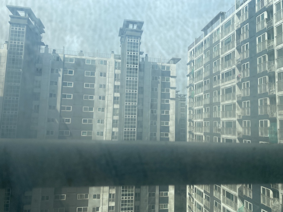 푸른숲청소 이미지