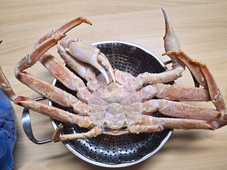 오양농수산물 이미지