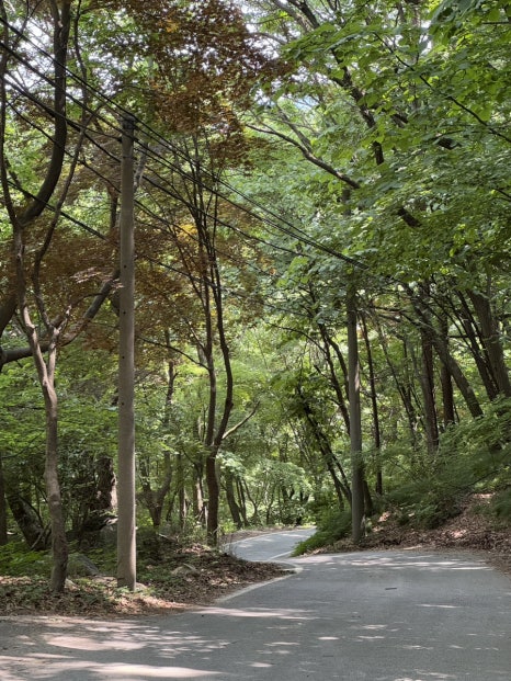 소백산국립공원 삼가동코스 이미지