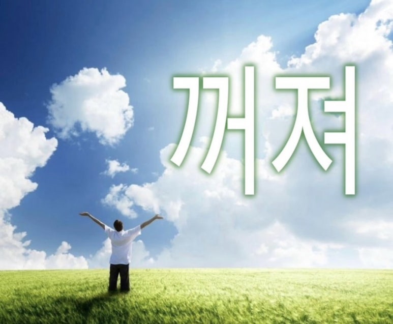프링(Freeing) 이미지