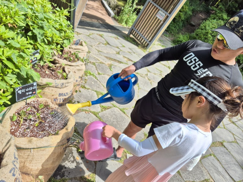 조내기고구마(주) 이미지