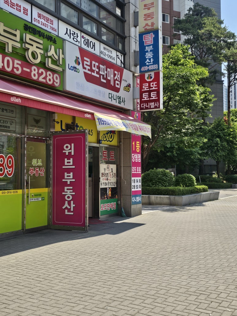 다니엘사 이미지