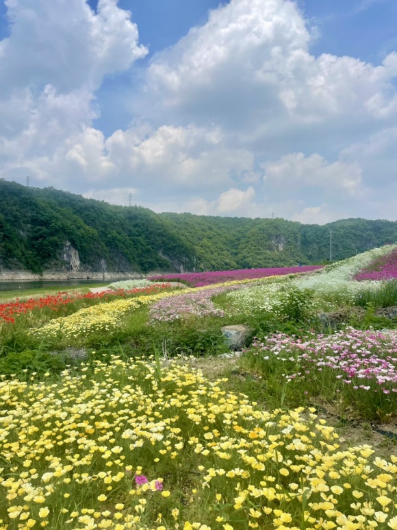 도담행복마을 이미지