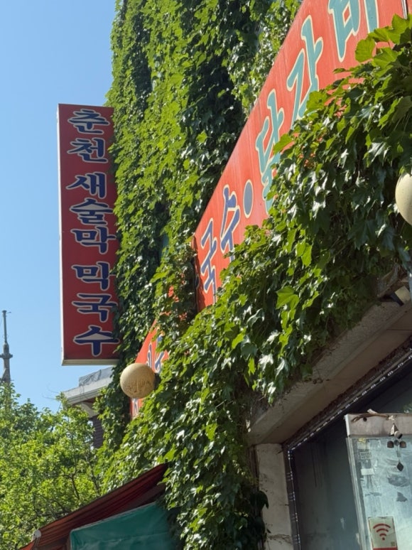 새술막막국수 이미지