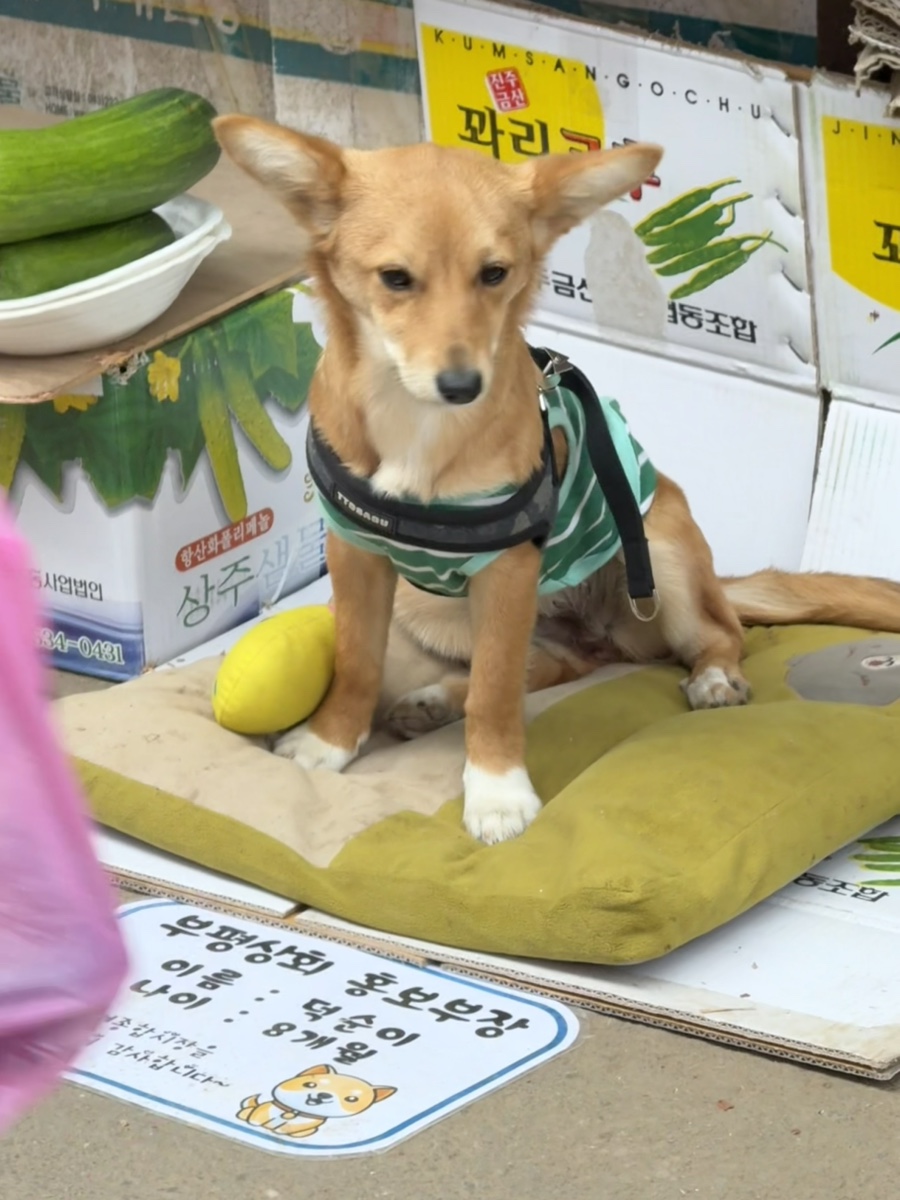 중화각 이미지