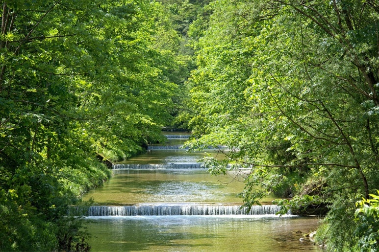 자연 NATURE 이미지