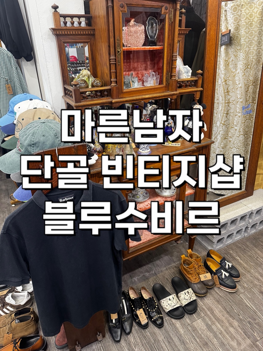블루수비르 이미지