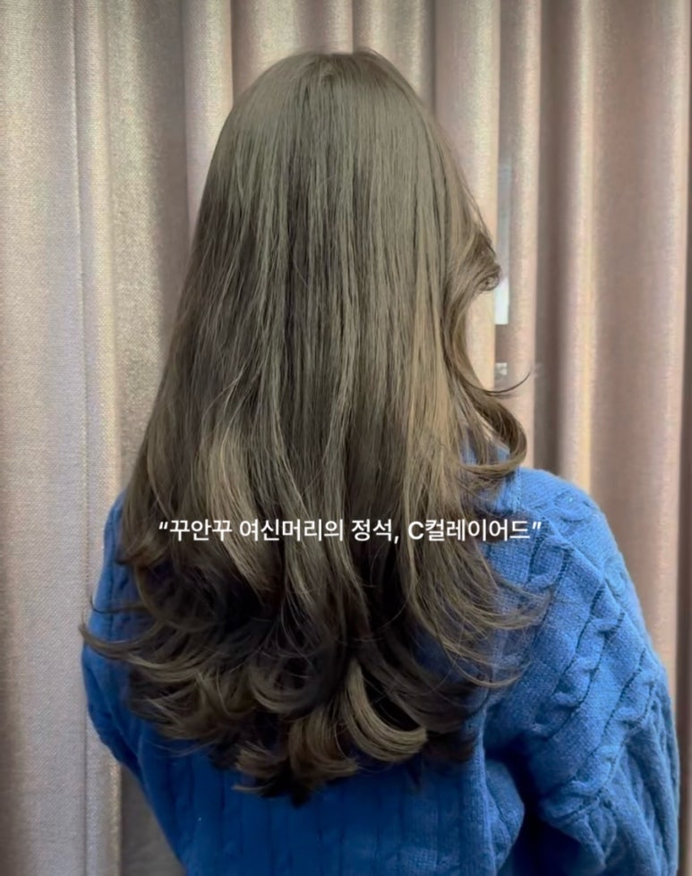 다시설레다 이미지