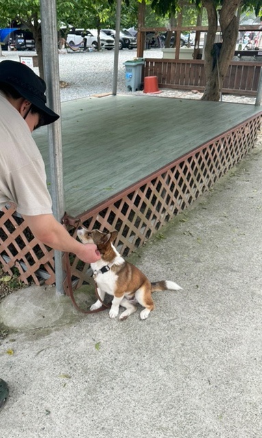 구름포해변캠핑장 이미지