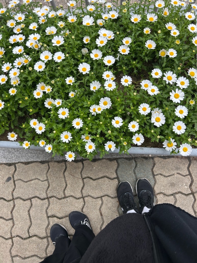 주은치킨&호프 이미지