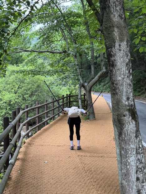 소백산국립공원 삼가동코스 이미지