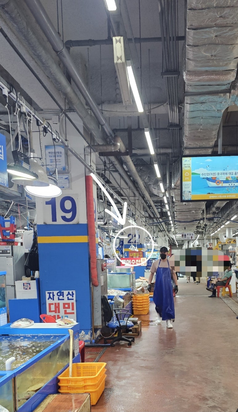 나로도수산 사진 7