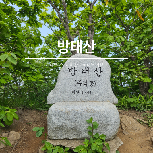 지당골식당 이미지