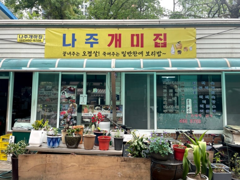 나주개미집 이미지
