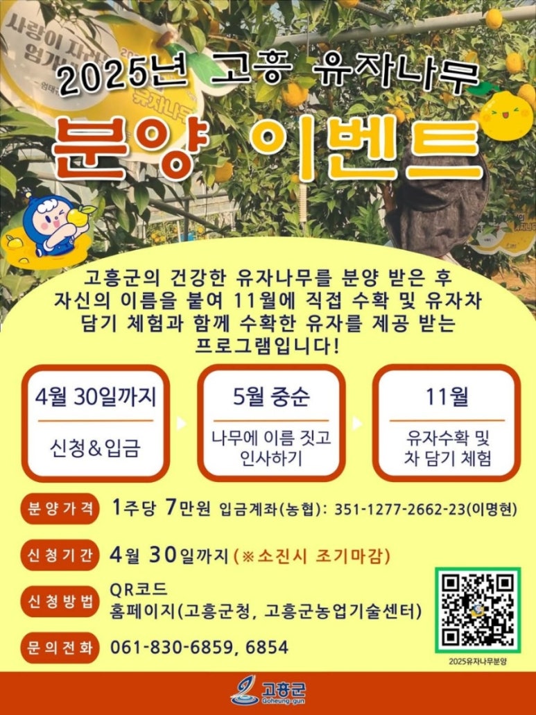 고흥유자향 이미지