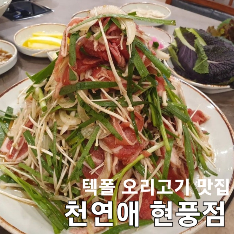 천연애현풍점 이미지