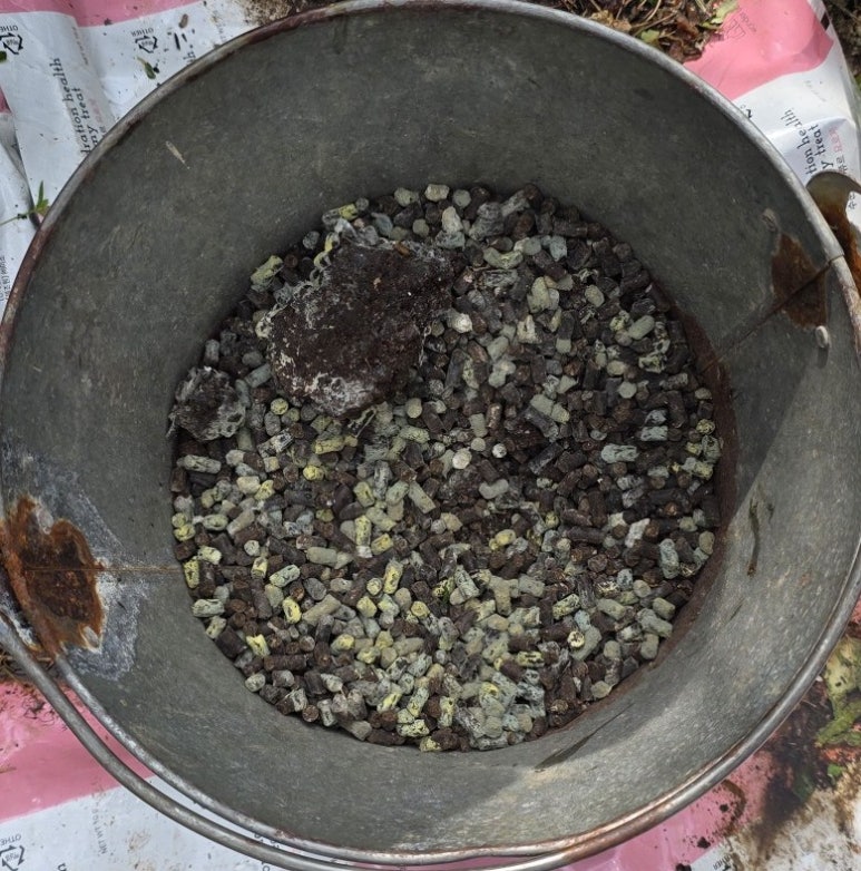 짐포리식당 이미지