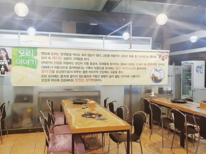 해적선생오리 이미지