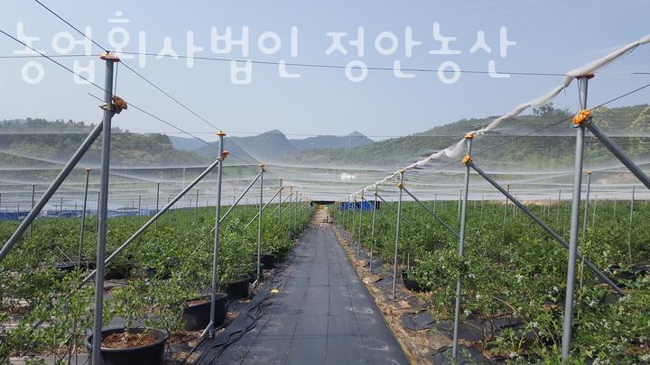 정안농산 이미지