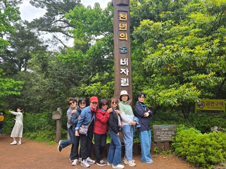 제주렌트로 이미지
