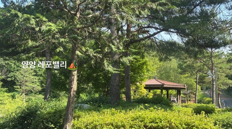 레포밸리 이미지