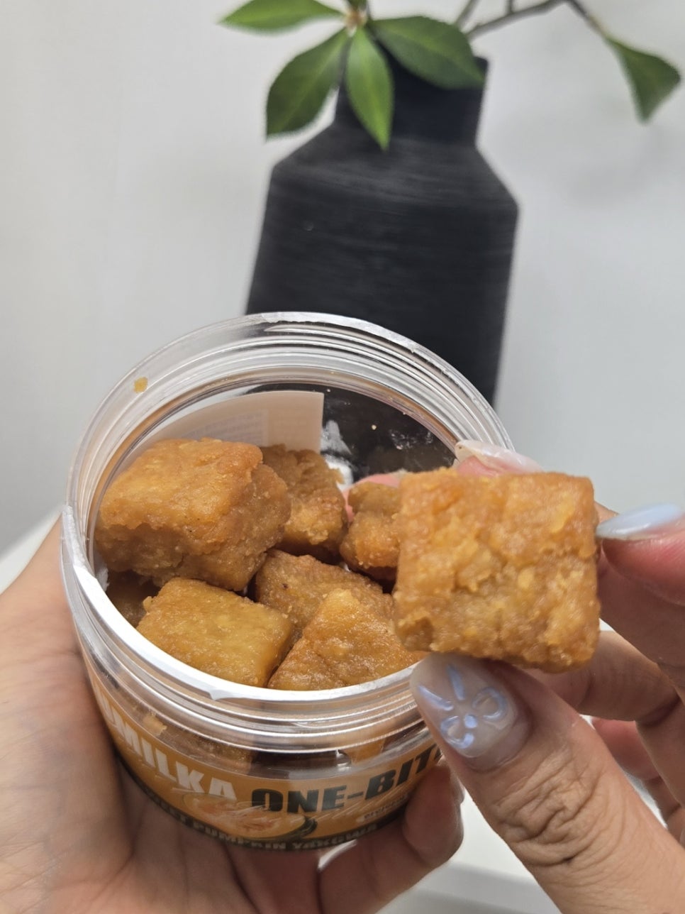 바삭카야 이미지