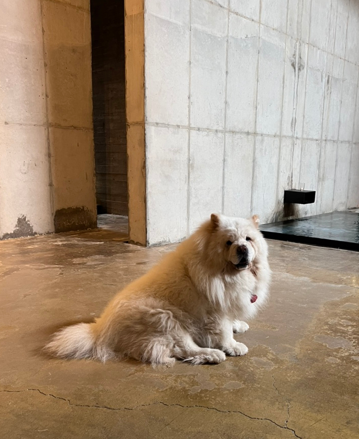 가희당 이미지