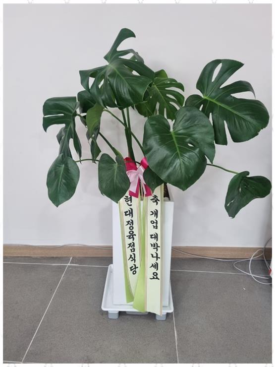 한결세무회계 이미지