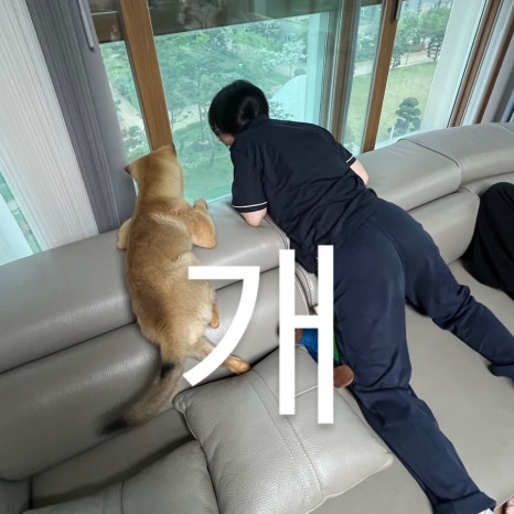 예담인 이미지
