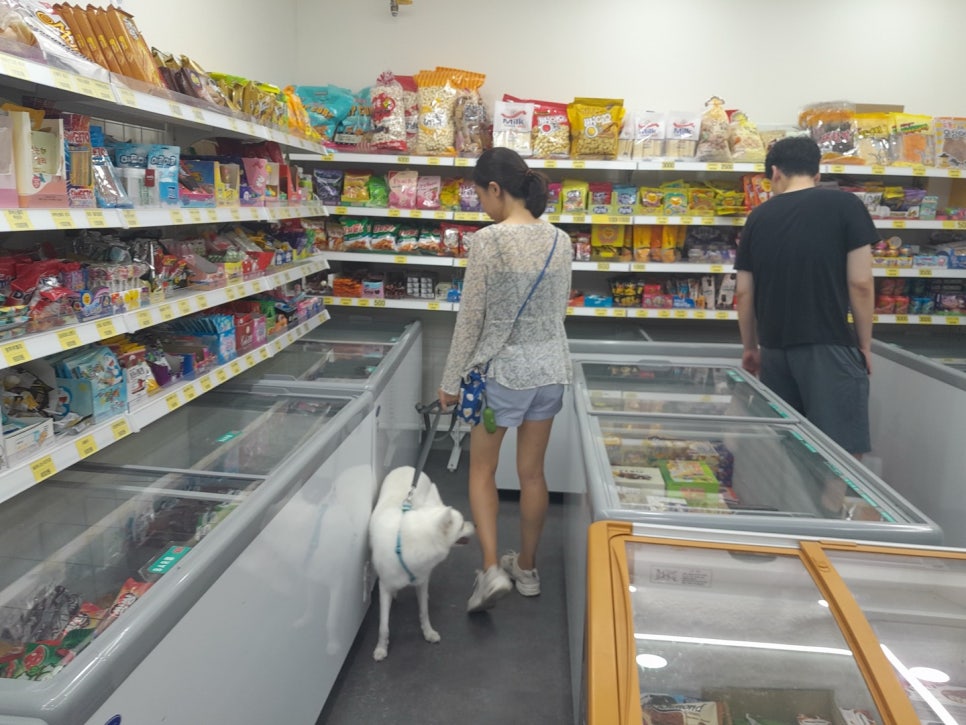 아이스박스아이스크림할인점 이미지