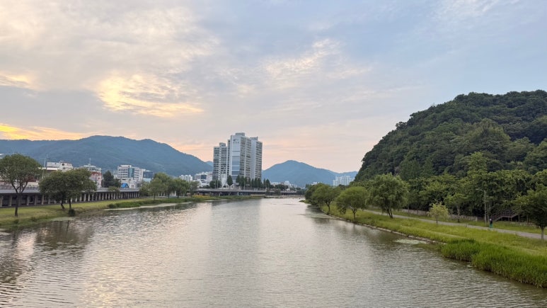 장대콩국수 이미지
