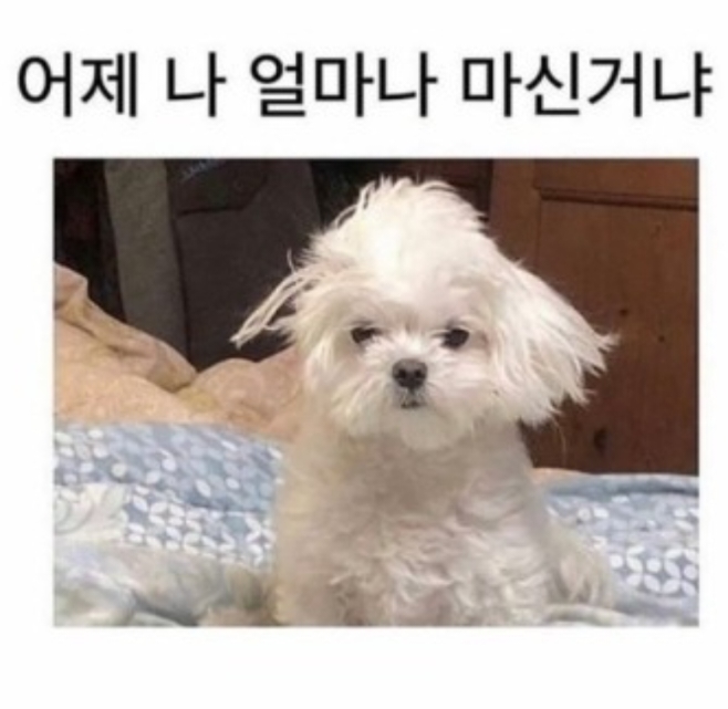 왔다곱창 이미지