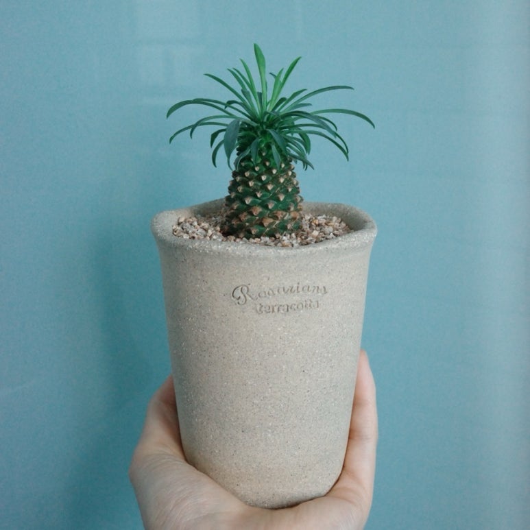 소일섬 이미지