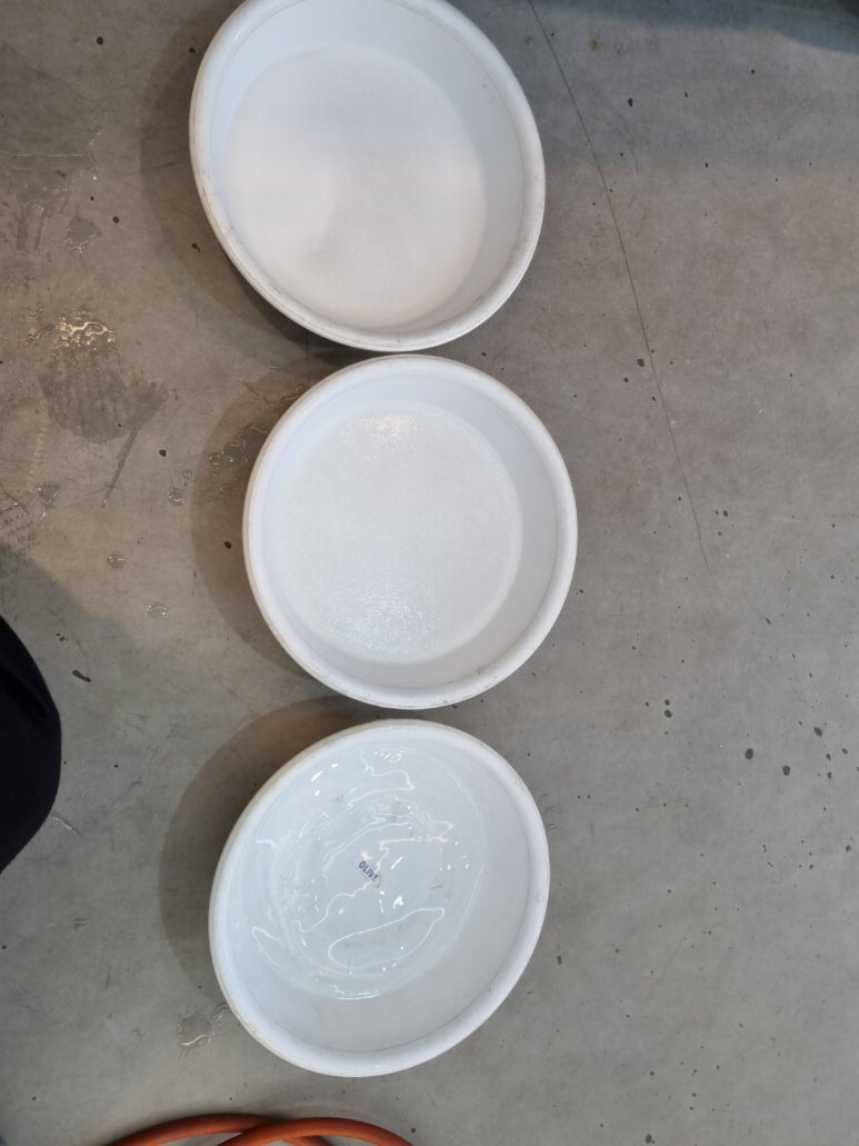 올카즈 이미지