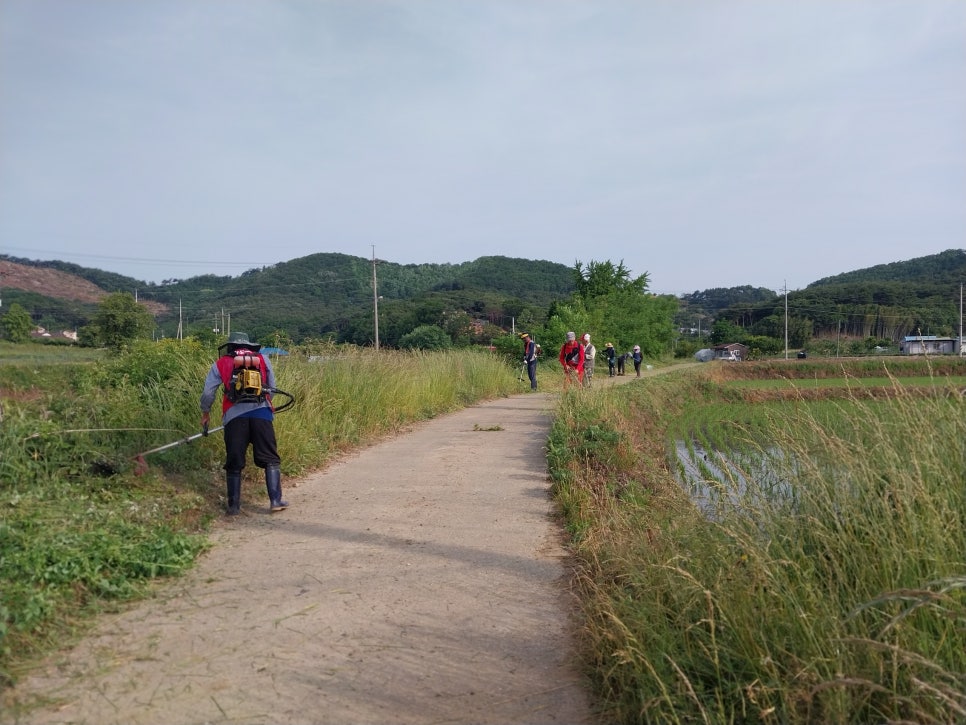 정미식품 이미지