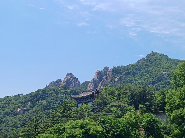 법무사정용이사무소 이미지
