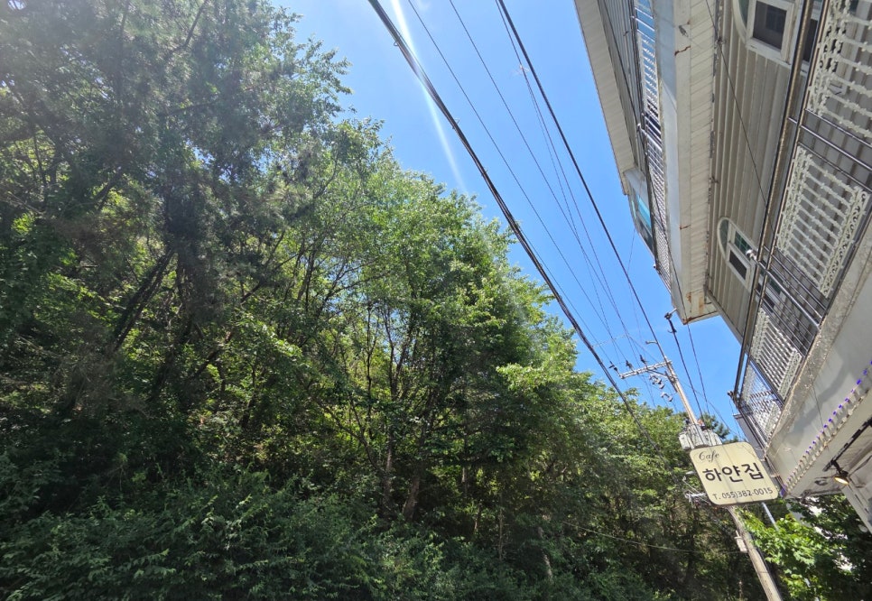 양산마늘보쌈,칼국수 이미지