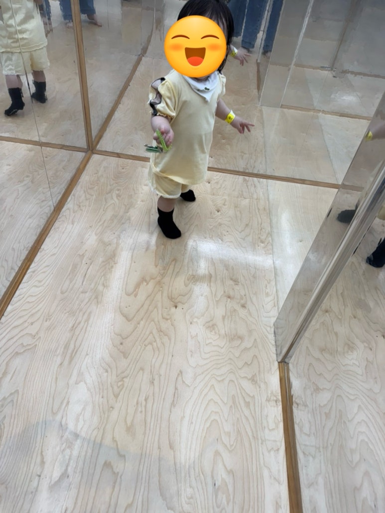 바우파이 이미지